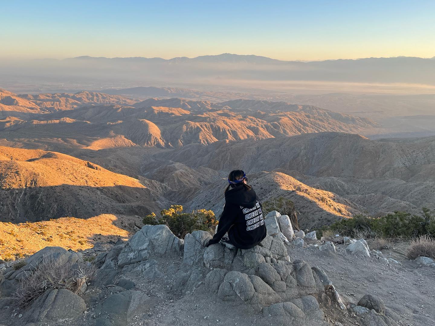 joshua tree national park